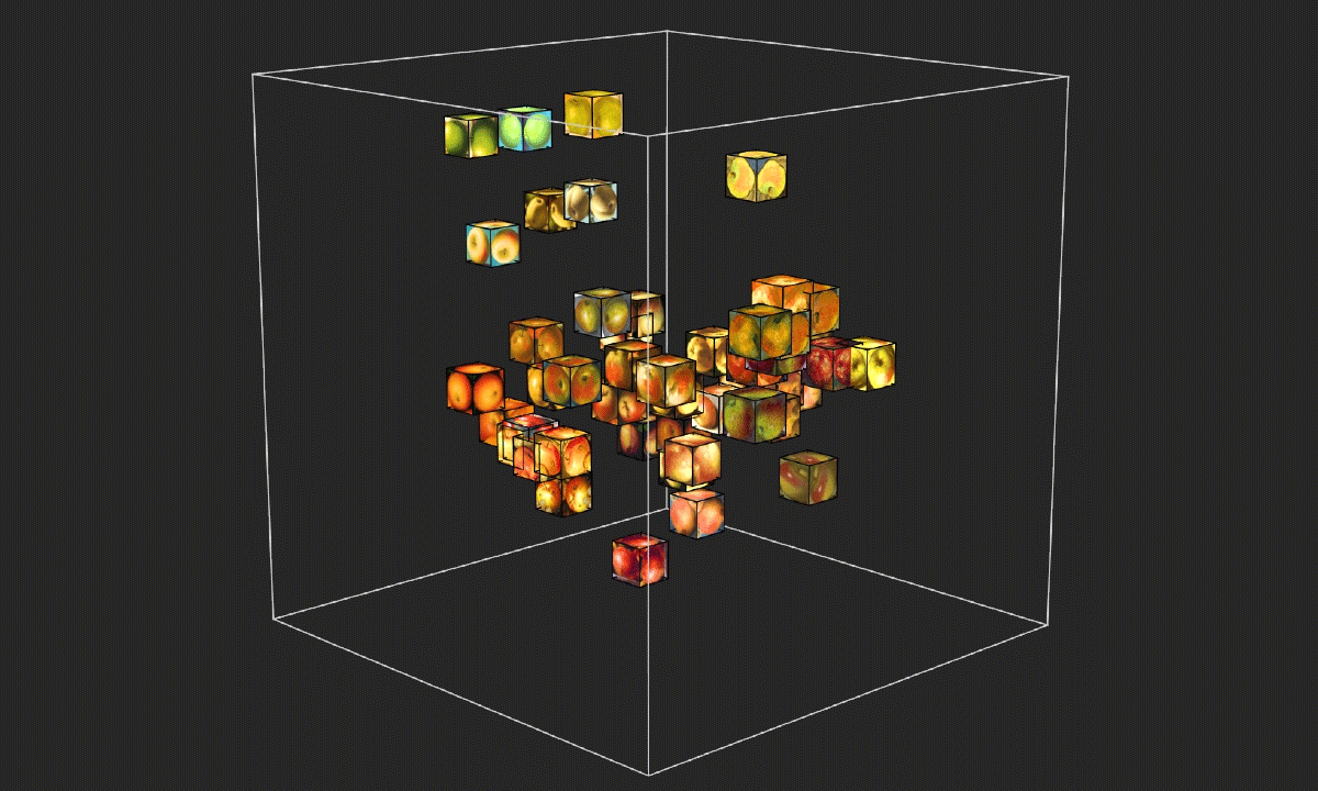 perceptual space of depiction style